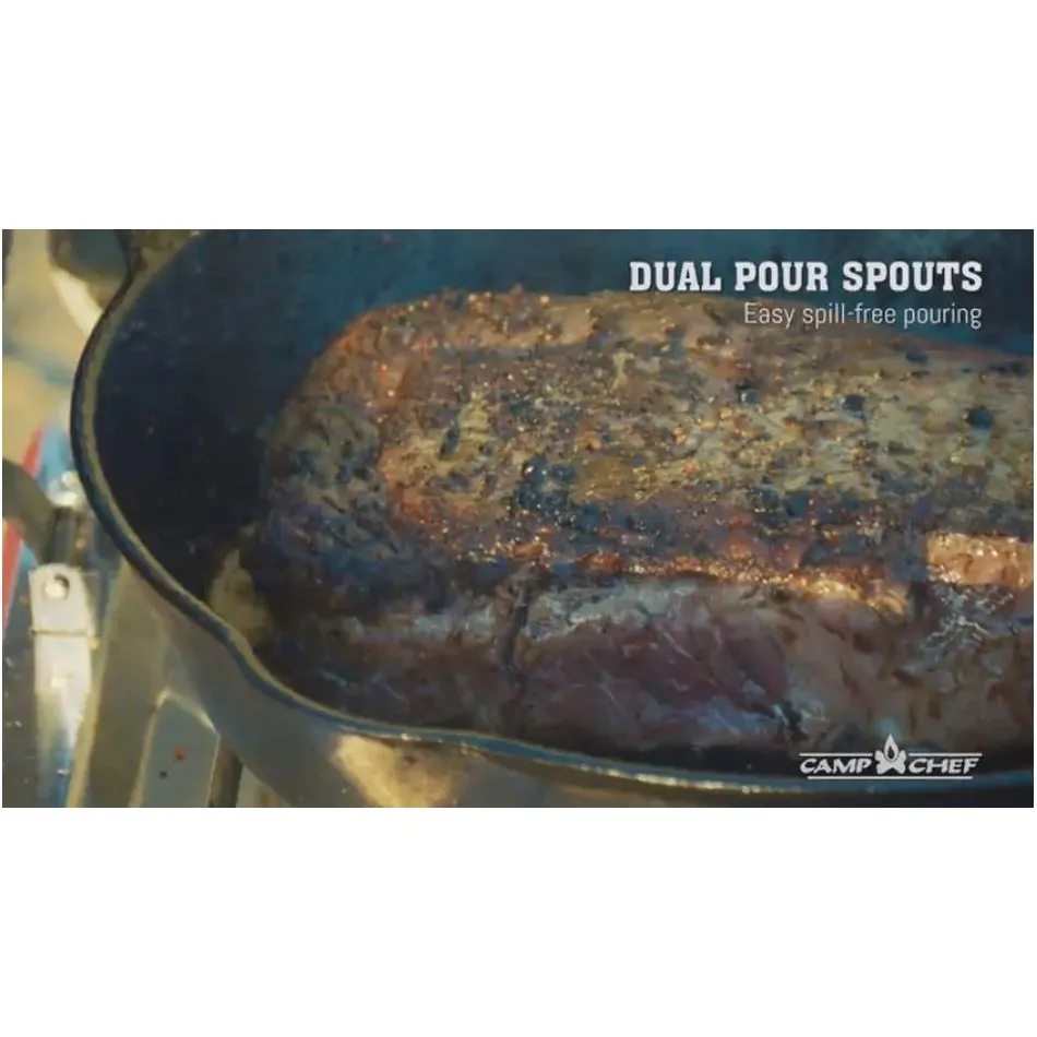 SEASONED SKILLET 10